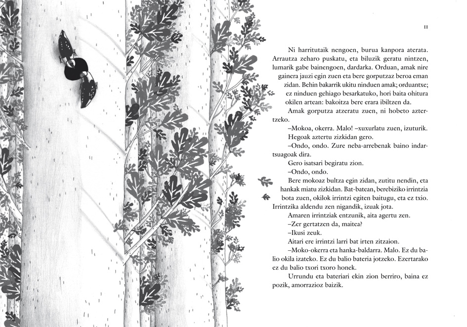 maite gurrutxaga-alberdania-txoritxoroa-2011-2
