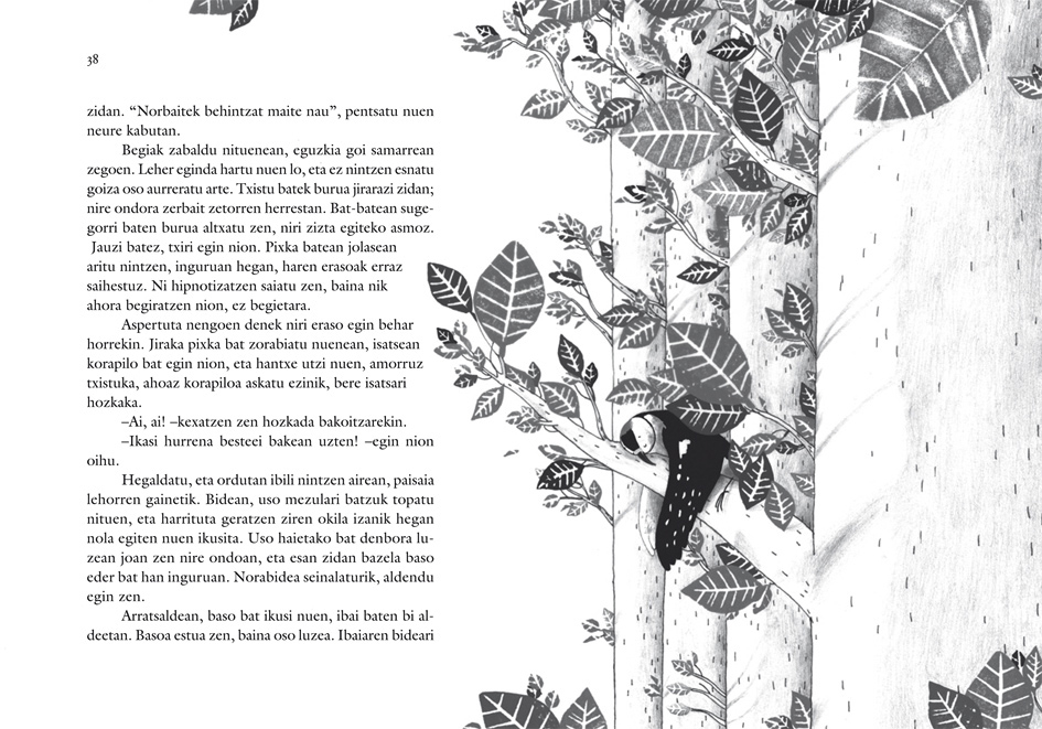 maite gurrutxaga-alberdania-txoritxoroa-2011-4